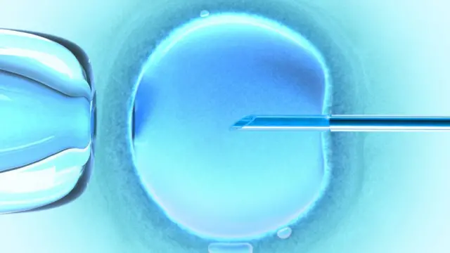 Fertilização in vitro