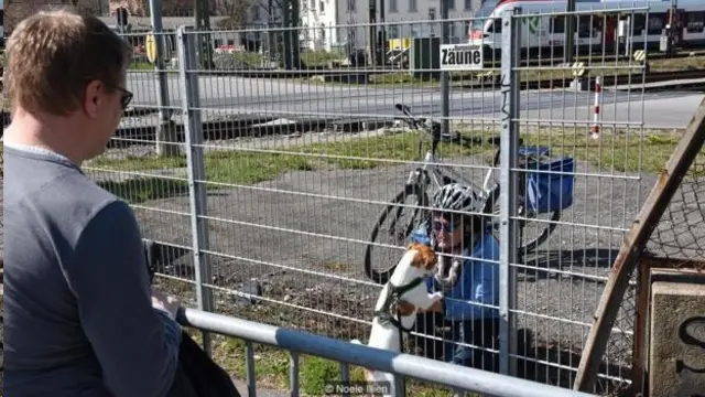 新冠病毒疫情爆發後,羅德和布拉塞爾(還有他養的狗)只能在關閉的邊界上約會見面