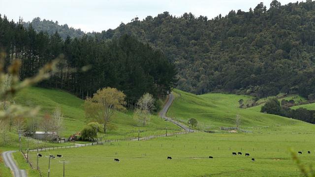ニュージーランド農業者連合は新ウイルスの導入を歓迎した