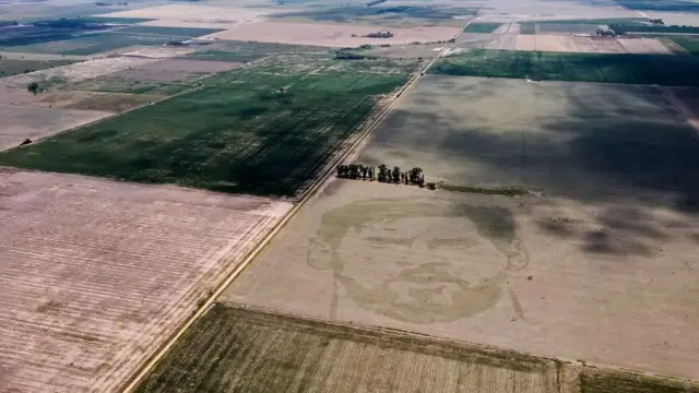 حقول زراعية