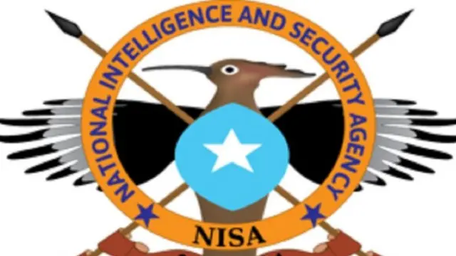 Hay'adda sirdoonka Soomaaliya