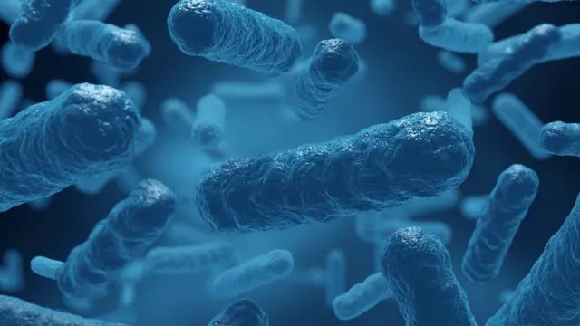 உயிரினம்