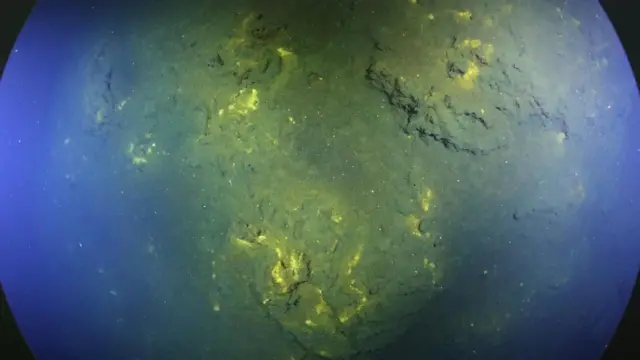 Sedimentos en el fondo del mar