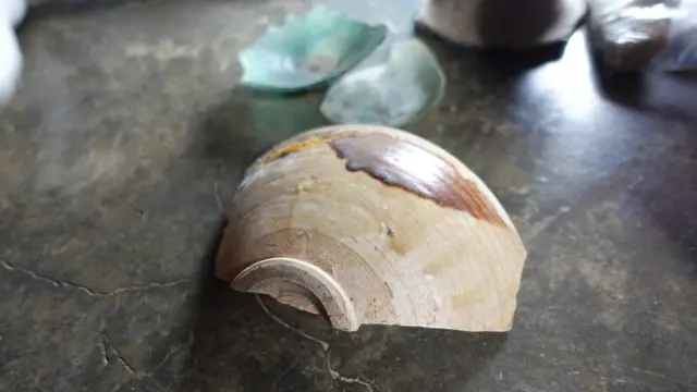 situs bongal tapanuli tengah