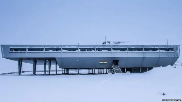 Bharati is located between Thala Fjord and Quilty Bay, in Antarctica, ਭਾਰਤੀ, ਪ੍ਰਜਾਤੀ