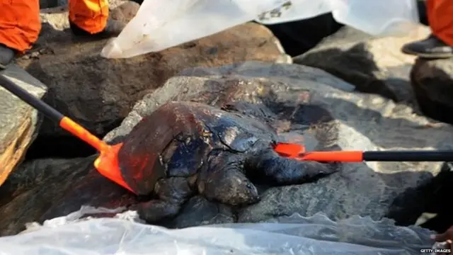 एन्नोर बंदरगाह