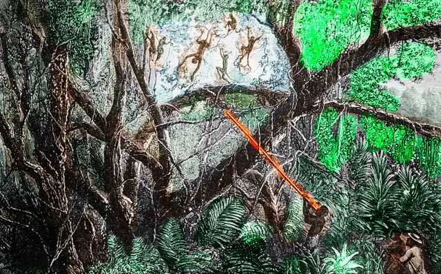 Cazadores en la selva