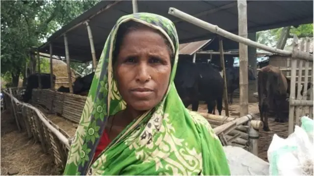 শাহজাদপুরের একজন গরু খামারি