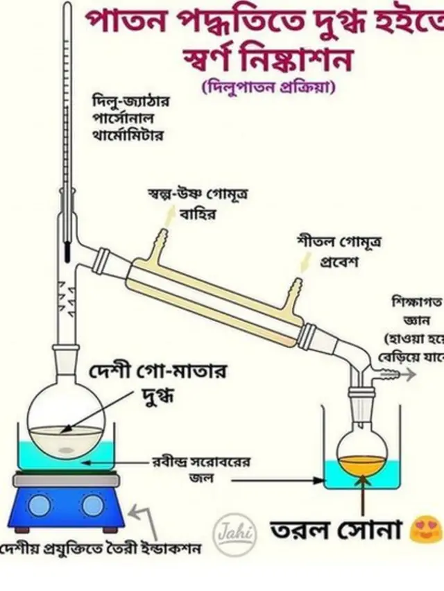 'দেশি গো মাতার দুগ্ধ' থেকে কীভাবে সোনা নিষ্কাশন করা যেতে পারে, তা নিয়ে ফেসবুকে রসিক ডায়াগ্রাম।