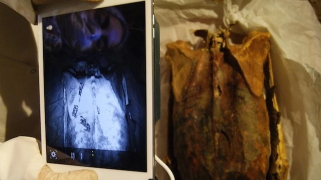 Инфракрасная камера