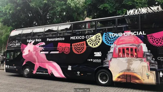 Bus axolotl
