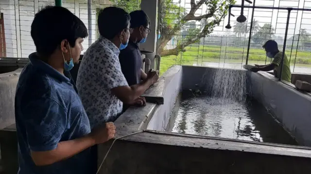 কাকিলা মাছের পোনা পরীক্ষা করে দেখছেন বিজ্ঞানীরা।