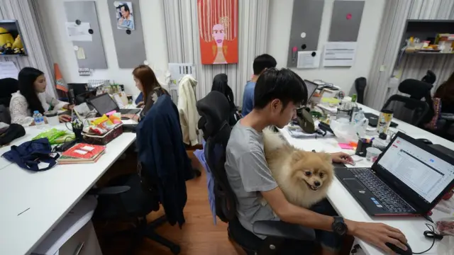 สุนัขพันธุ์ปอมนั่งตักพนักงานชายคนที่หนึ่งที่กำลังง่วนกับงาน