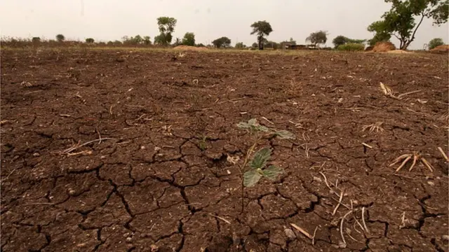 బీడు భూమి