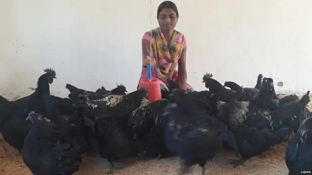 छत्तीसगढ़, मध्यप्रदेश