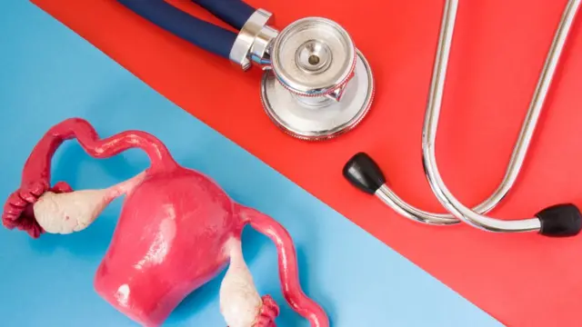 estetoscopio y figura del aparato reproductivo de la mujer.