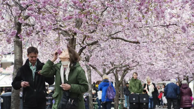 жінка нюхає квіти на вулиці