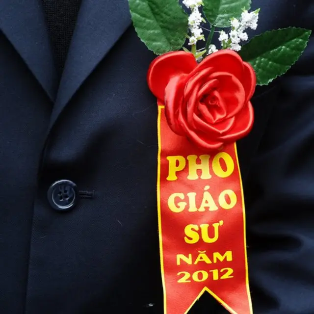 VN
