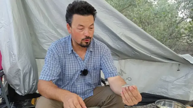 Роман Назаров, Россия Фанлар Академияси, Москва давлат университети Зоология музейи илмий ходими: