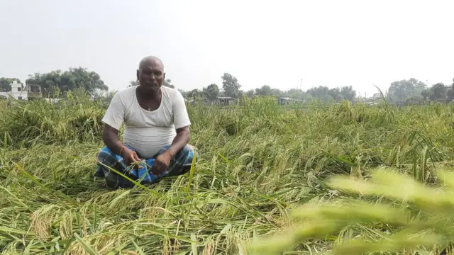 कैलाश यादव अपने बर्बाद हुए खेत में