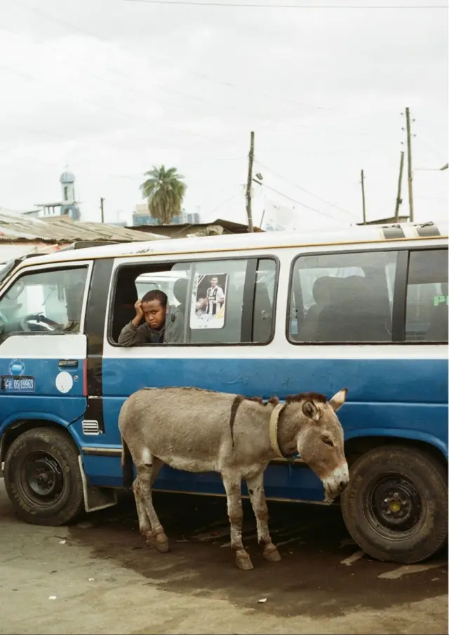 አንድ አህያ ከከተማ ታክሲ አጠገብ ቆማ የሚያሳይ ምስል።