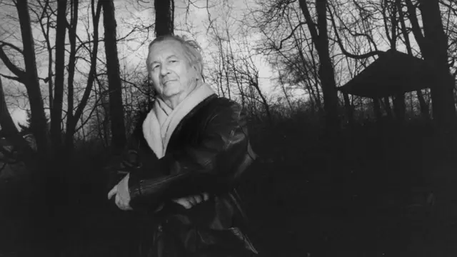 Американский романист Уильям Стайрон был одним из многих тысяч людей, которые страдали и страдают депрессией и которых посещают мысли о самоубийстве