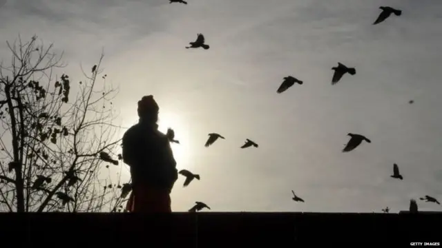 ਕੋਰੋਨਾਵਾਇਰਸ