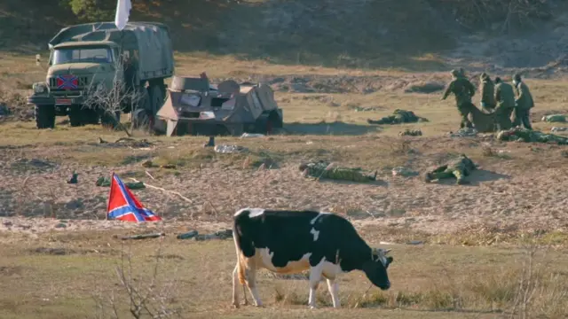 Lethal Kittens / Наші Котики