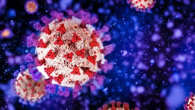 કોરોના વાઇરસ