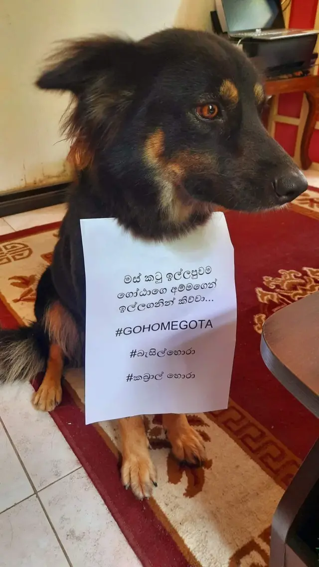 සුරතලුන් පවා විරෝධතාවන්ට එක්කර ගෙන තිබේ