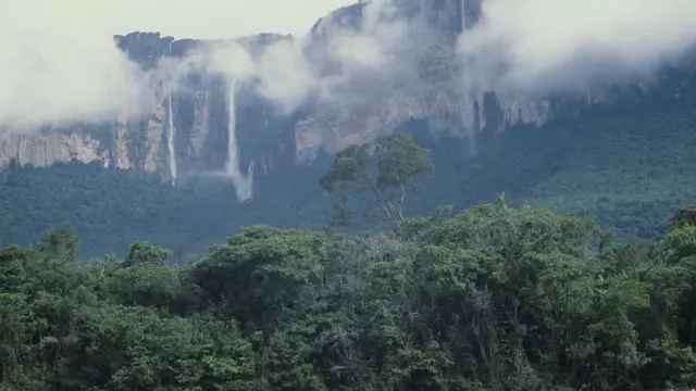 amazonas