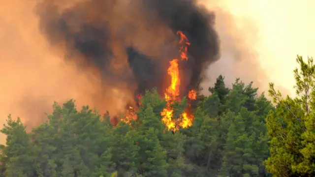TAK, 2006 yazında Ege ve Akdeniz'de birçok orman yangını çıkarttığını iddia etti.