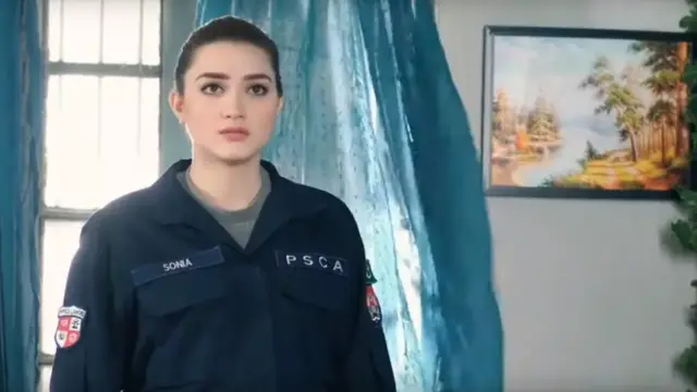 دال چاول، پنجاب پولیس