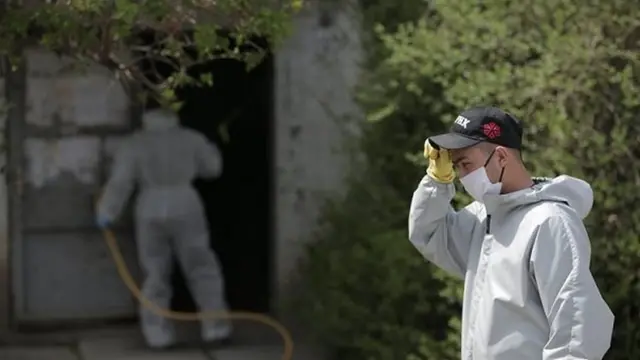 Үйлөргө, коомдук жайларга дезинфекция кылып жатышат