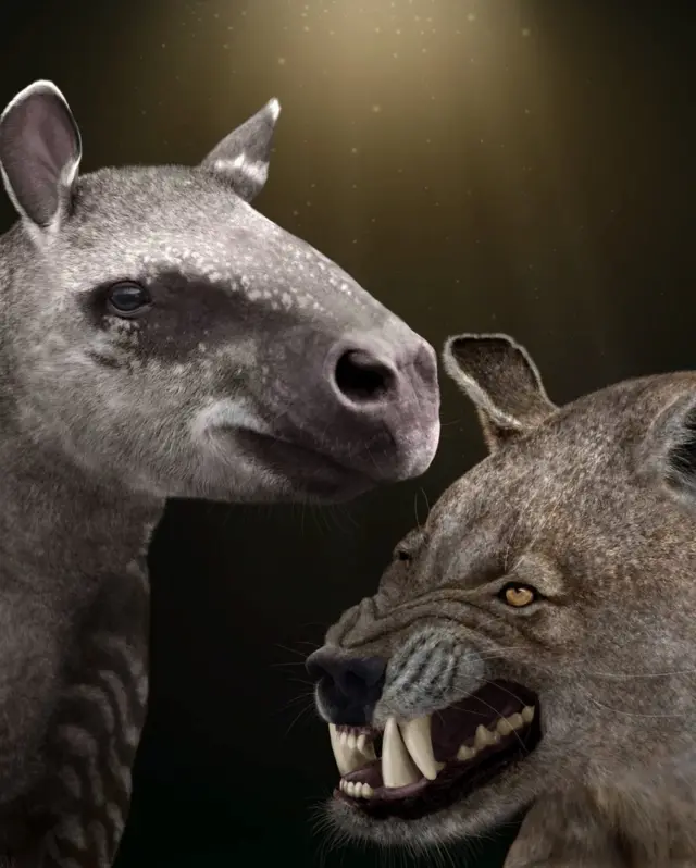 Hyrachyus, left, and Arctocyon, right