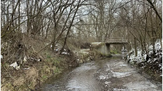 Srbija: „Ljudi Nam Ne Veruju Kada Im Kažemo Da Je Nemamo", Priče Onih ...