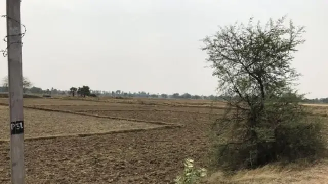 महिलांवर अत्याचार, सोशल मीडिया