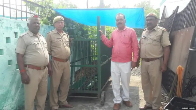 तेंदुए को बचाया गया