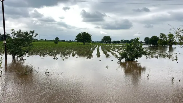 अतिवृष्टीमुळे राज्यातील 68 लाख हेक्टर जमिनीवरील पिकांचं नुकसान झालं आहे.