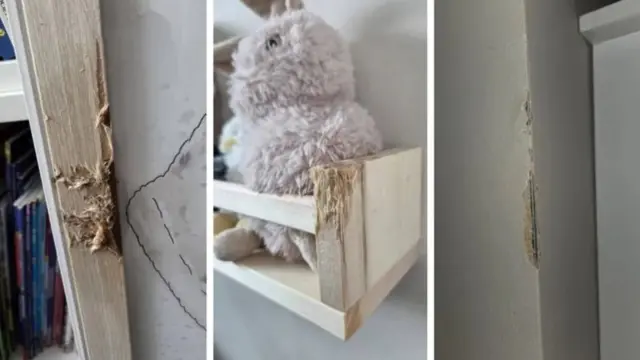 سه تصویر از دیوار و چوب‌هایی که جونیور جویده و جای دندانش روی آنها باقی مانده