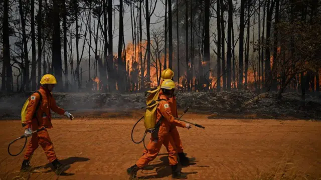 Homens que trabalham para conter incêndios florestais caminhando ao ladorobo aviator f12betmata pegando fogo