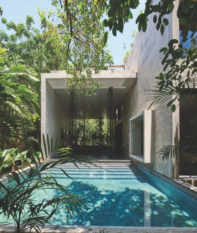 Piscina rectangular junto a una casa de hormigón moderno, rodeada de vegetación tropical y luz natural filtrada.