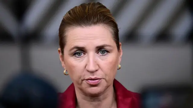 डेनमार्क की प्रधानमंत्री मेटे फ़्रेडरिकसन