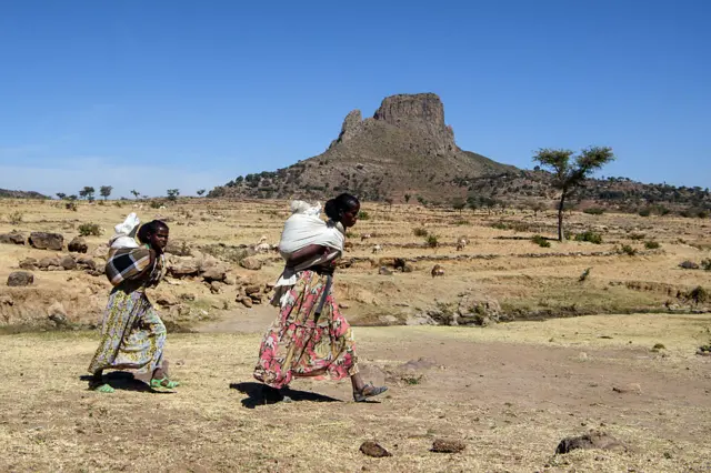 ኣብ ጥቓ ከተማ ዓዲ ግራት ብእግረን ዝጓዓዛ ደቂ ኣንስትዮ 