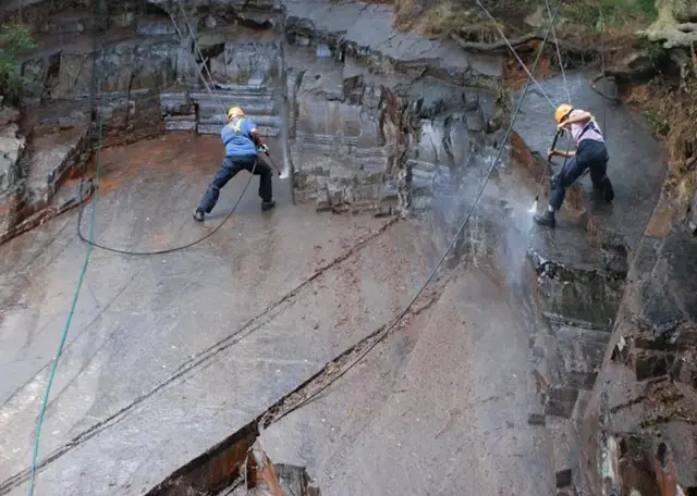 Le nettoyage qui a montré l'existence du prédateur