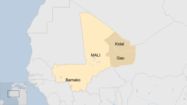 L'armée malienne a récemment récupéré la ville de Gao aux mains des rebelles