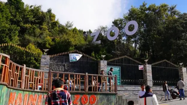 સેન્ટ્રલ ઝૂ ઑથોરિટી, પ્રાણીસંગ્રહાલય, બીબીસી