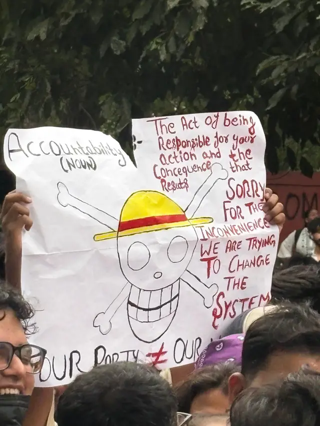 वन पीस पायरेट फ्लॅग