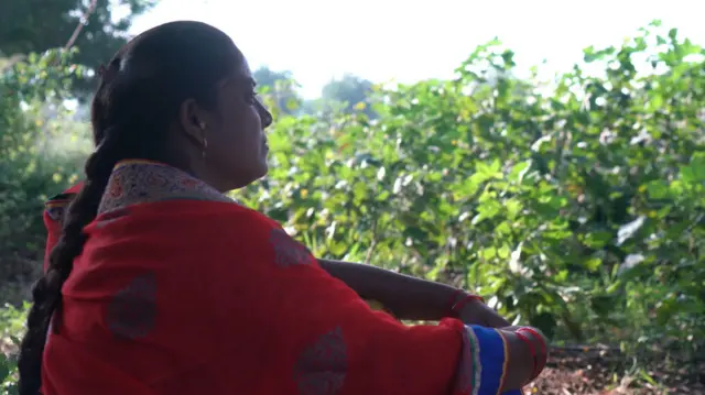 ललिता जाधव त्यांच्या कपाशीच्या शेतात.