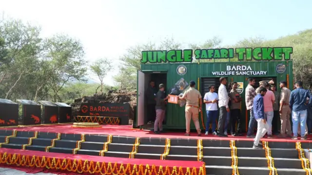 બરડો ડુંગર, બરડા જંગલસફારી, ગુજરાત, એશિયાઈ સિંહો, ગુજરાત વનવિભાગ, સિંહદર્શન, ટુરિઝમ, ઇકો-ટુરિઝમ, બીબીસી ગુજરાતી 